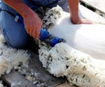 Машинка для стрижки овец