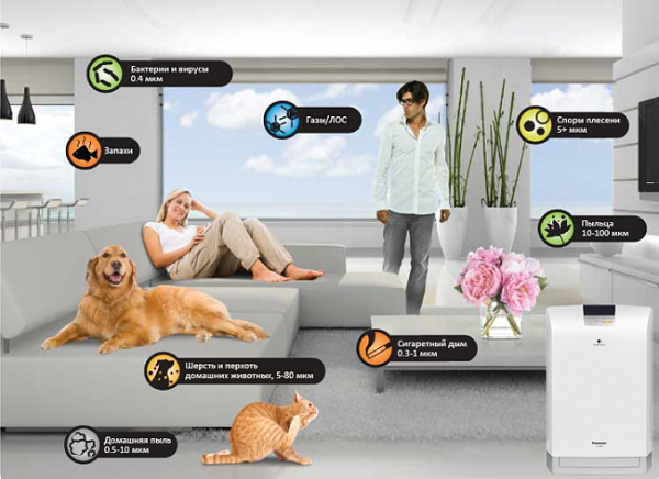 Виды загрязнений