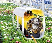 Пушка в теплице